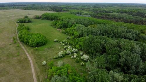 Picnic site overview